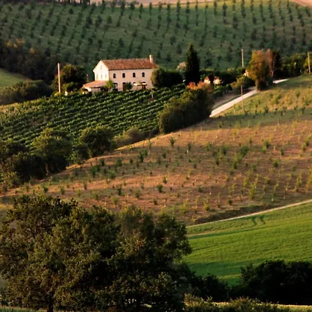 Σπίτι διακοπών Welcoming House Near Montecarotto With Pool Casa Vici